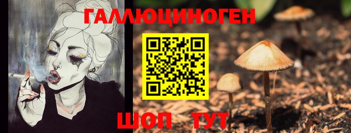 Галлюциногенные грибы ЛСД Михайловск